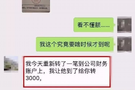 通许为什么选择专业追讨公司来处理您的债务纠纷？